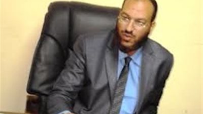 «أبو النصر»: إعلام الفلول والبلطجية شوَّه الاستفتاء