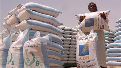 170 جنيهًا لشيكارة الذرة الصفراء بالمنيا.. اليوم