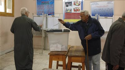 إحالة دعاوي بطلان نتيجة الاستفتاء لهيئة المفوضين