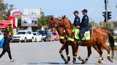 عودة خيول الشرطة إلى شوارع الدنمارك
