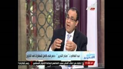 بالفيديو.. الخارجية: تصويت المصريين بالخارج يتوافق مع أيام العطلات