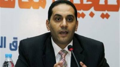 نائب رئيس مجلس الدولة: الإشراف على الاستفتاء مهمة وطنية