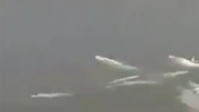 طريقة مروعة لصيد الأسماك (فيديو)