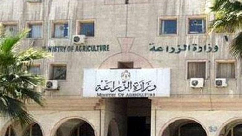 فيتو