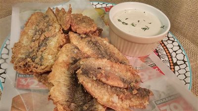 طريقة إعداد سمك السردين المقلي من مطبخ الشيف سناء