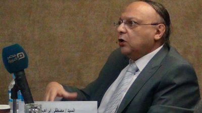 مصطفى إبراهيم: مصر تسعى للاستفادة من التجربة الصينية