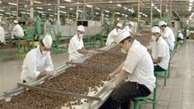 فرص تجارية بالأسواق الأفريقية تحتاج لبناء قاعدة معلومات