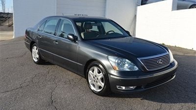 بالصور.. شركة 