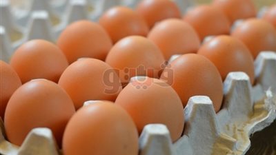 الدجاج الأبيض بـ 24 جنيها وكرتونة البيض تسجل 38 بالأسواق