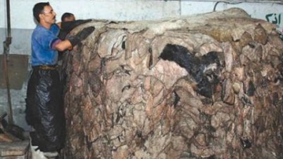 «صقر»: 70 % حجم صناعة جلود 