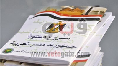 مسئول بالخارجية : تغير نتائج استفتاء المصريين بالخارج وارد .. والسفارات الجهة الوحيدة المسئولة عن إعلانها