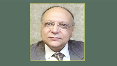 مصطفى إبراهيم: الصين لديها رغبة قوية في مساعدة مصر