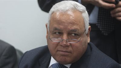 سيد فليفل: ريادة مصر في أفريقيا تعتمد على الخبرات والأموال