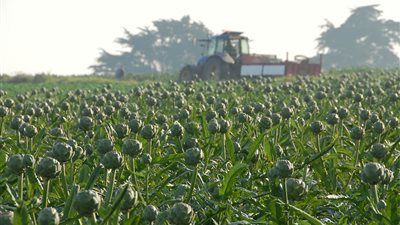 الدمرداش: استصلاح الأراضي يساهم في زيادة الحاصلات الزراعية