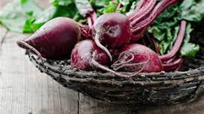 لجنة من الحجر الزراعي الصيني تتفقد مزارع العنب والبنجر.. مارس