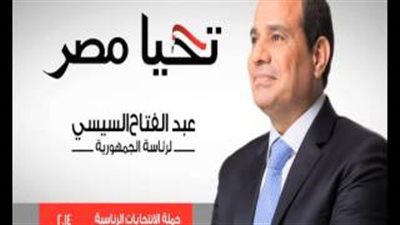 بالفيديو.. «السيسي» للمصريين المغتربين: «مطالبون بالنزول للتصويت في الانتخابات»