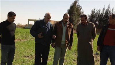 «زراعة الإسماعيلية» تنظم يوما حقليا للقمح بالقنطرة شرق (صور)