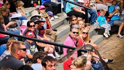 أغرب لقطات طريفة حيرت أصحابها (صور)