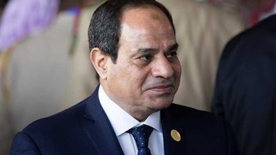 السيسي يبحث ضمان حقوق المصريين بالخارج في التصويت بالانتخابات