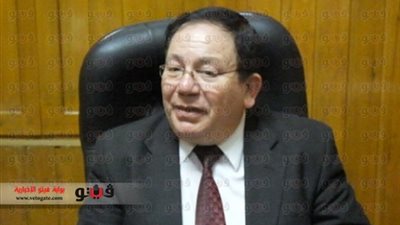 النيل الإنجيلي: اعتبار أيام الانتخابات الرئاسية إجازة رسمية يشجع المواطنين للمشاركة