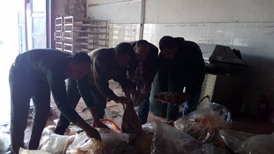 ضبط نصف طن أسماك فاسدة قبل ترويجها في الإسماعيلية