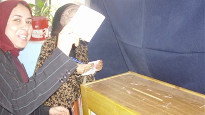 زارع: دمج اللجان يشكك فى شفافية الاستفتاء