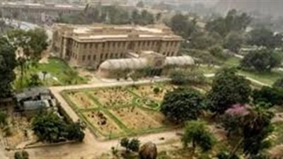 النيابة تطلب تفريغ الكاميرات في «سرقة متحف الزراعيين»