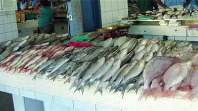 سمك بورى يسجل 30 جنيها بسوق العبور.. اليوم