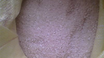 المعامل المركزية تؤكد فساد 