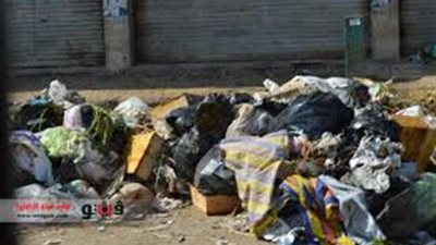 «ملف القمامة» أمام البرلمان خلال أيام.. وزير البيئة: تكلف الدولة 202 مليار جنيه سنويا.. القاهرة تنتج 10 آلاف طن يوميا.. 66 مصنعا لإعادة تدويرها.. مدافن صحية ضمن الخطة.. «الجمع من المناز