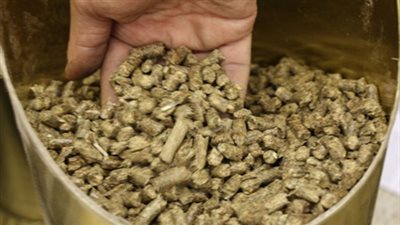 1440 جنيهًا لطن 