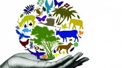 فريق بحثي أمريكي يكتشف 115 نوعا جديدا من التنوع البيولوجي