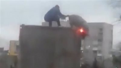لحظة فرار خنزير جريء من أعلى شاحنة (فيديو وصور)