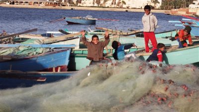 6 آلاف صياد هجروا بحيرة قارون بسبب تلوث مياهها