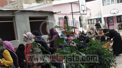 إقبال نسائى ملحوظ أمام لجان الإسماعيلية