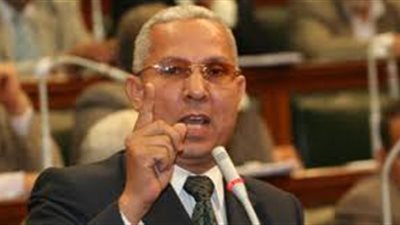 جمال زهران: تمرير الدستور يزيد الاحتقان فى الشارع المصري