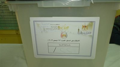 ضبط غفير نظامى فى أثناء تصويته بلجنة بالبحيرة