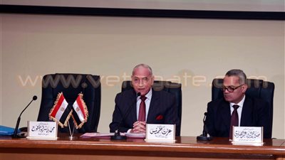 بالصور .. «حصر الأموال»: «الإرهابية» جندت أفرادا لنشر فضائح القضاة