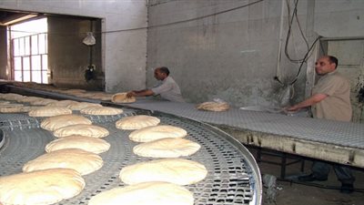 خبير مطاحن: ارتفاع الرطوبة بالقمح الفرنسي يؤثر سلبًا في إنتاج الخبز