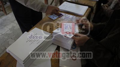 مظاهرة بالمحلة تندد بتزوير الاستفتاء