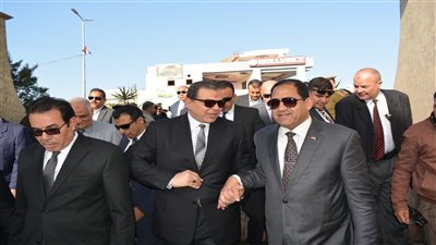 «سعفان»: مصر ستظل الدرع الواقي للأمة العربية