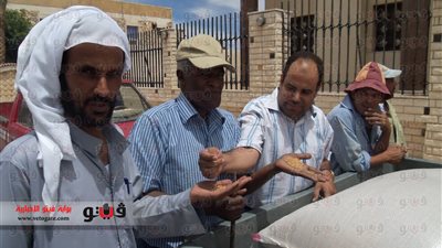 بالفيديو والصور.. تسليم 4 أطنان قمح لمخازن بنك الائتمان الزراعي في جنوب سيناء