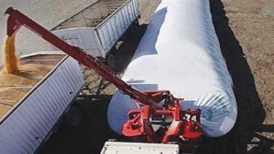 التموين: عينة عشوائية كل 15 يوما من قمح الصوامع للتأكد من صلاحيتها