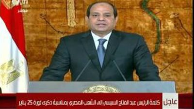 بالفيديو .. «السيسي» يطالب «النواب» بالإسراع في المراقبة والتشريع