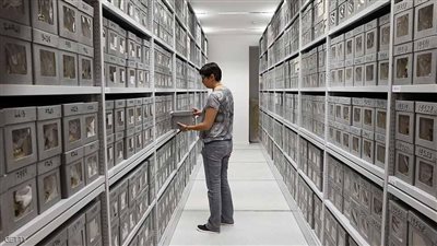 «جماجم شهداء الجزائر» تنتظر الخروج من متحف باريس