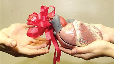 مراهقة بريطانية تقوم بحملة لتشجيع التبرع بالأعضاء