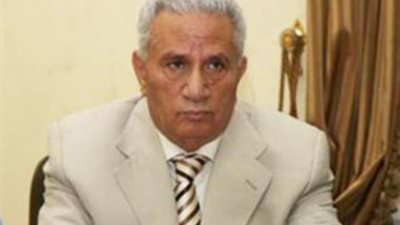 الدماطى: مخالفات المرحلتين لا تبطل نتيجة الاستفتاء