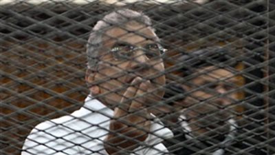 تأجيل محاكمة عصام سلطان في 