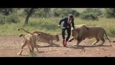 بالفيديو.. رجل يلعب كرة قدم مع مجموعة من الأسود