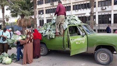 عرض منتجات «زراعة قناة السويس» بأسعار مخفضة في الإسماعيلية